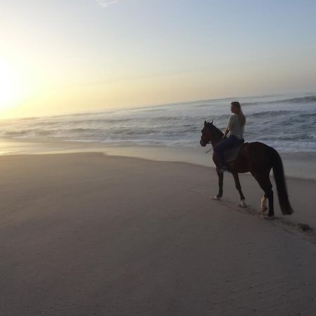 Dakhla Evasion Hotel Luaran gambar